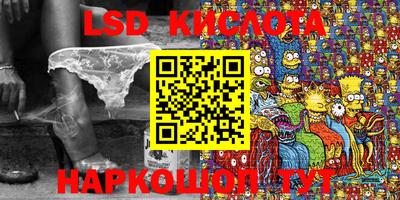 гидропоника Будённовск