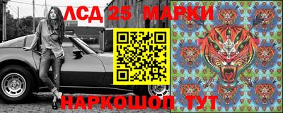 гидропоника Будённовск